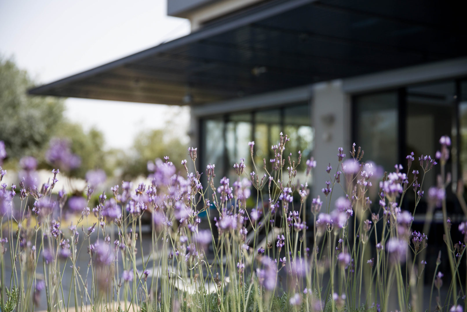 Villa in Maccabim - Outside - 4