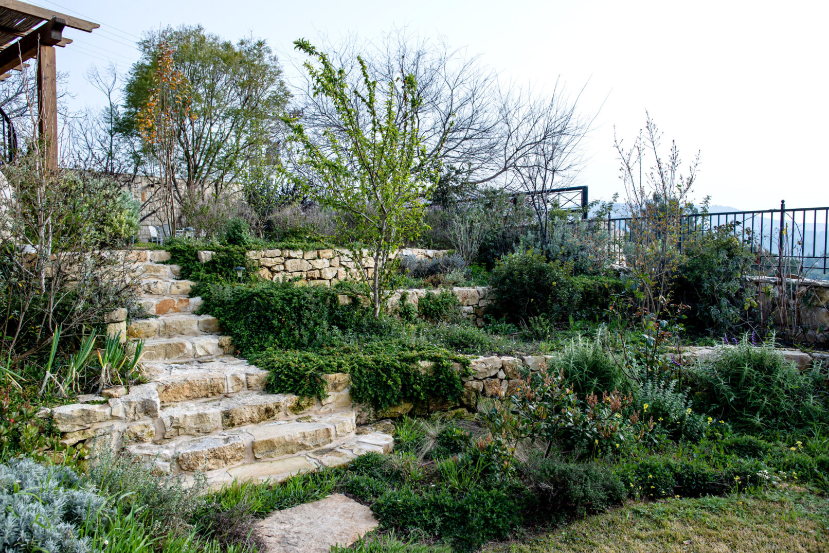 House in Beit Zayit - Garden - 1